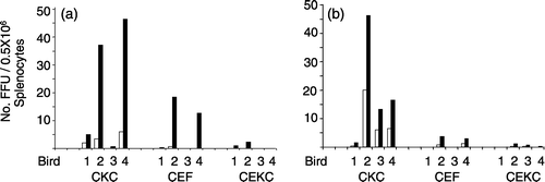 Figure 1. Number of FFU of MDV isolated in CKC, CEKC, and CEF cultures inoculated with 0.5×106 splenocytes/culture infected with RB-1B (1a) or RK-1 (1b). The FFU represent the average for four cultures/bird. Foci were enumerated at 4 d.p.i. (open bars) and 6 d.p.i. (closed bars). The absence of a bar indicates that foci were not present.