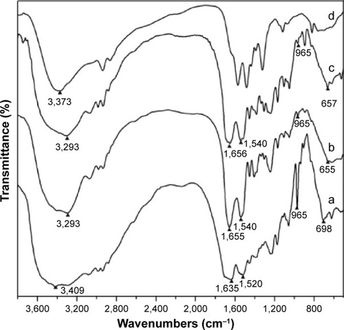 Figure 3 FTIR spectra of the complexes.Notes: Line graphs represent the following: (a) CASF, (b) ASF, (c) ASF + spermine, and (d) spermine.Abbreviations: ASF, Antheraea pernyi silk fibroin; CASF, cationized Antheraea pernyi silk fibroin; FTIR, Fourier transform infrared.