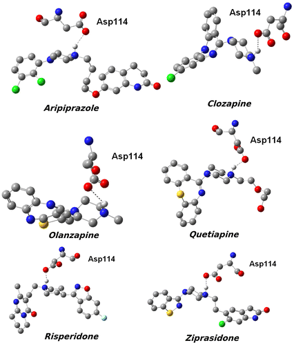 Figure 5. 3D structures of drug-Asp114 complexes.