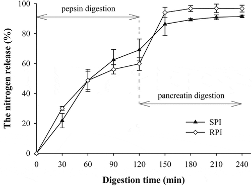 Figure 3 The nitrogen release (%) of RPI and SPI during sequential pepsin and pancreatin digestion. The error bars indicate the standard deviations of duplicate measurements.