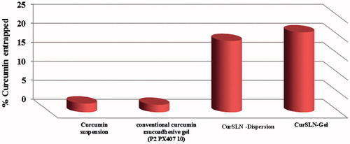 Figure 3. Amount of curcumin detected in dissected chicken buccal mucosa after 3 h of permeation test at 37 °C.