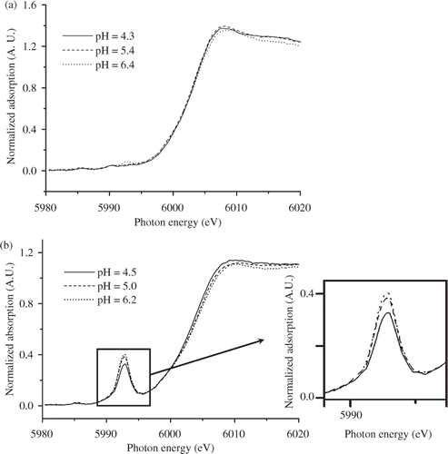 Fig. 1. The XANES spectra of (a) Neipu and (b) Pinchen soils spiked with 1500 mg hexavalent chromium [Cr(VI)] kg−1 at different pH levels.