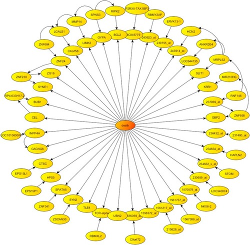 Figure 4 Phenotype centered network provided by Bayesian networks in the case of survival.