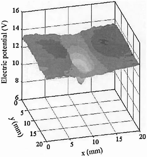 Figure 7 Measured electric potential distribution on the piezoelectric film pasted on specimen with a surface crack.Citation[19]