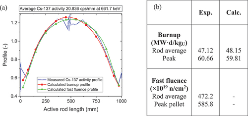 Fig. 4. (a) Comparison of the 137Cs activity profile with the calculated burnup. For completeness, the fast fluence (>1 MeV) profiles are added to the plot. (b) Comparison between the experimentally determined and calculated burnup and fast fluence.