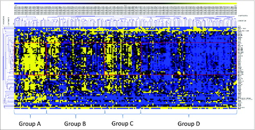 Figure 2. Two-dimensional hierarchical clustering delineates distinct immunological CRC patient groups. Gene expression (yellow, high expression; black, intermediate; blue, low expression) was clustered together with mutation data of key genes (TP53, KRAS, BRAF, NRAS, PI3KCA and PTEN (yellow, mutant; blue, wildtype)) and clinical data (microsatellite status (yellow, MSI-H; black, MSI-L; blue, MSS), recurrence data (yellow, recurred/progressed; blue, disease-free), tumor site (yellow, left sided; blue, right sided), tumor stage (yellow, stage III/IV; blue, stage I/II), methylation subtype (yellow, CIMP-H; black, CIMP-L; blue, CIMP-negative). Clustering was performed by genes/mutations/clinical data (rows) and patients (columns) using the Pearson algorithm. Red boxes indicate groups of patients with strong clustering of the coordinate immune response cluster. Patients were delineated into four distinct groups (A–D) on the basis of the dendrogram and the cluster expression.