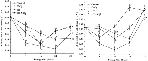Figure 3. Chlorophyll a and b contents of the peppers treated with CaCl2, HT, and HT-CaCl2 for 32 days at 8°C. Each value is the mean of three replications, and vertical bar represents the standard error of the means (n = 3)
