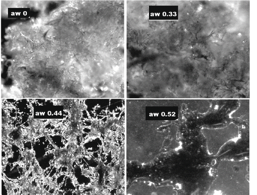 Figure 5 Images from optical microscope of WSM hydrated at different water activities. Magnification: 25.