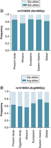 Figure 2. Comparison of allele frequencies of the studied SNPs in Egyptians compared with other populations.(A)ADRB1 rs1801252 (light bars: Gly-allele, dark bars: Ser-allele), (B)ADRB1 rs1801253 (light bars: Gly-allele, dark bars: Arg-allele). Allele frequencies obtained from the 1000 Genome, Phase III data [Citation28]. Egyptian study, El Gindy et al. 2022 [Citation29].