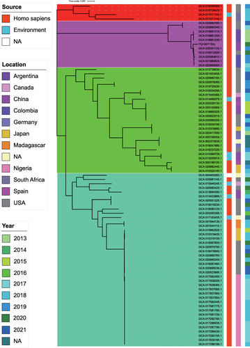 Figure 5 The phylogenetic tree of 81 completed P. rettgeri genome. Maximum-likelihood phylogeny of 81 representative global P. rettgeri isolates. The trees were constructed using Roary software. The tips of branches are colored according to sources, countries, and year.