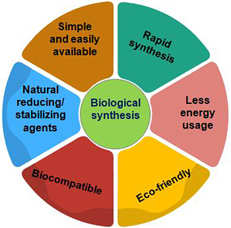 Figure 2 Benefits of biological synthesis of nanoparticles.