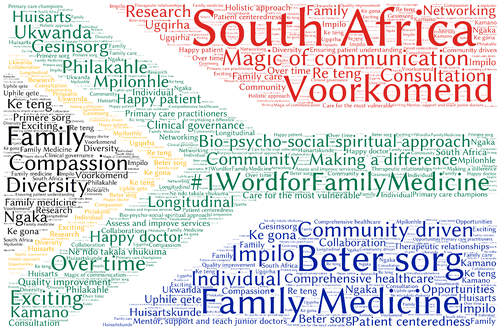 Figure 1: The first selected #1WordforFamilyMedicine South Africa image, based on the national flag