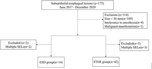 Figure 1. Flow chart of the study profile. SEL: submucosal esophageal lesions; ESD: endoscopic submucosal excavation; STER: submucosal tunneling endoscopic resection.