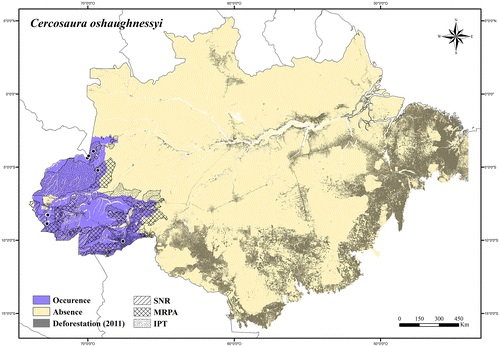 Figure 35. Occurrence area and records of Cercosaura oshaughnessyi in the Brazilian Amazonia, showing the overlap with protected and deforested areas.