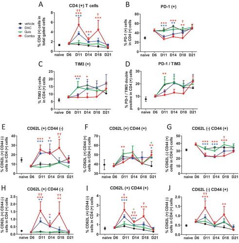 Figure 7. Effect of in vivo EMA treatment on CD4-positive T cells in the bone marrow.Mice were treated from day 6 onwards with DAC (0.2 mg/kg daily intraperitoneally). Starting at day 9, mice received Quis (1.5 mg/kg, every other day subcutaneously). At indicated timepoints, mice were euthanized and BM was isolated from the hind legs for FACS analysis. First, debris was excluded using FSC/SSC. Next, cells were selected based on negative staining for near-IR Live/Dead, CD11b, Nk1.1 and B220 (represents total gated cells). Next, TCRb(+)/CD4(+) cells were selected.A: Percentage of TCRb(+)/CD4(+) T cells in the bone marrow of treated mice. B-D: Percentages of PD-1(+) (B), TIM3(+) (C) and PD-1/TIM3 double positive cells (D) within CD4(+) gated cells of treated mice.E-G: Percentages of CD62L(+)/CD44(-) (E), CD62L(+)/CD44(+) (F) and CD62L(-)/CD44(+) cells (G) within CD4(+) T cells.H-J: Percentages of CD62L(+)/CD44(-) (H), CD62L(+)/CD44(+) (I) and CD62L(-)/CD44(+) cells (J) within total gated cells. Dots and error bars represent mean and standard deviation (n = 3 for naive, n = 5–8 per group). Statistics were done using One-Way-Anova. *, ** and *** indicates p < 0.05, p < 0.001 and p < 0.0001, respectively compared to control condition. †, †† and ††† indicates p < 0.05, p < 0.001 and p < 0.0001 compared to respective single agent treatments. (DAC = decitabine, Quis = Quisinostat).