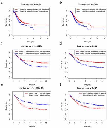 Figure 9. Kaplan–Meier analysis of 22 kinds of immune cells. (a-b) The levels of T cells CD4 memory activated (a) and T cells follicular helper (b) were significantly associated with OS in patients with GC in TCGA database. (d-f) The levels of T cells CD4 memory activated (c), T cells follicular helper (d), B cells memory (e) and Mast cells resting (f) were significantly associated with OS in patients with GC in GEO database