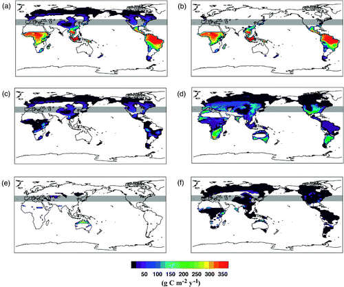 Fig. 3 Distribution of average NPP increases between 1997 and 2002 with carbon availability equivalent to a [CO2]atm of 550 ppm and excluding the effects of climate change for a) all forests, b) broadleaf trees, c) needleleaf trees, d) C3 grasses, e) C4 grasses and f) shrubs. The latitudinal band between 35°N and 46°N is indicated by the grey shaded area.