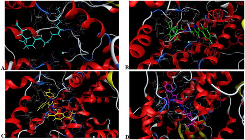 Figure 13. Mode of binding (3D) of arachidonic acid (A), 4a (B), 8b (C), and 8g (D) inside the active site of 5-LOX.