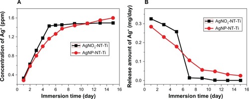 Figure 4 Concentration of silver ions released into PBS from the samples with increasing immersion time.Notes: (A) Concentration of Ag+ released. (B) Amount of Ag+ released.Abbreviations: PBS, phosphate-buffered saline; AgNO3-NT-Ti, titanium foil with a AgNO3-filled hydrogen titanate nanotube layer on the surface; AgNP, silver nanoparticle; AgNP-NT-Ti; AgNP-filled nanotube layer on the titanium foil surface.