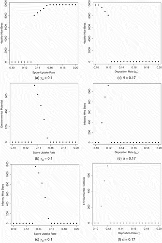 Figure 5. Simulation results for disease infected colonies with varying uptake rate α~ and fixed deposition rate γW [left column (a)–(c)] and varying γW with fixed α~ [right column (d)–(f)]. Shown are data for the first day of Spring after a periodic solution is obtained.