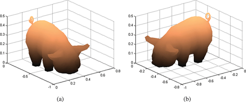 Figure 2. Example of the rotated pig.