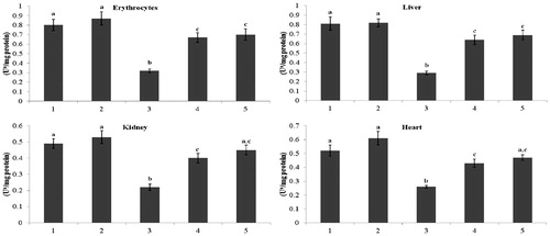 Figure 3. Effect of kaempferol on Na+/K+-ATPase in the erythrocytes and tissues of normal and STZ-induced diabetic rats. Values are given as means ± SD from six rats in each group. Values not sharing a common superscript vertically differ significantly at p < 0.05 (DMRT). a-μmol of Pi liberated per hour. Group 1: normal control; Group 2: normal + kaempferol (100 mg/kg/d); Group 3: diabetic control; Group 4: diabetic + kaempferol (100 mg/kg/d); Group 5: diabetic + glibenclamide (600 µg/kg/d).