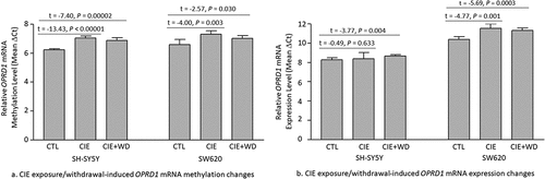 Figure 3. Chronic intermittent ethanol (CIE) exposure/withdrawal-induced mRNA methylation and expression changes in the δ-opioid receptor gene (OPRD1). CTL: Control SH-SY5Y or SW620 cells (without ethanol exposure). CIE: a 3-week chronic intermittent ethanol (CIE) exposure. CIE+WD: a 3-week chronic intermittent ethanol exposure followed a 24-hr ethanol withdrawal.