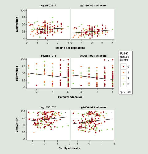 Figure 3.  DNA methylation of adjacent CpGs captured by pyrosequencing.Plots show the relationship between methylation and the variable of interest, at the originally pyrosequenced CpG and at an adjacent CpG captured in each assay. Colors show the genetic ancestry of a sample as used throughout the analysis. Asterisks indicate significant associations in the pyrosequencing data at p < 0.01.