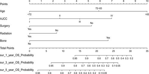 Figure 2 A nomogram for predicting the 3-, 4-, and 5-year overall survival rate for MCB patients.