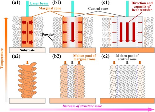 Figure 8. The schematic illustration of the heat transfer and molten pool morphology in the marginal and central zones for the (a1 and a2) 0.2-H, (b1 and b2) 0.6-H and 1.0-H, and (c1 and c2) 2.0-H and 5.0-H samples, respectively. The arch-shaped regions with orange filling colour are the molten pools of marginal zones, while those with gray filling colour are the molten pools of central zones. The red arrows represent the heat transfer direction, and the arrow area reflects the heat transfer capacity. The blue dashed line represents the boundary between the marginal zone and the central zone.