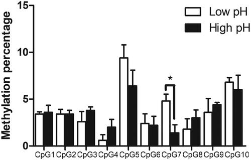 Figure 2. Methylation percentage of the CpG islands in the promoter of IFI6 gene. The methylation percentages were determined by pyrosequencing between low and high meat pH groups. The bars represent the mean ± SE. * indicates the difference of promoter methylation percentage was statistically significant (p < 0.05) between groups.