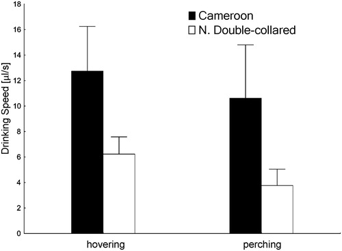 Figure 1. Drinking speed of Cameroon sunbirds and northern double-collared sunbirds while hovering or perching. The whiskers represent the standard deviation.