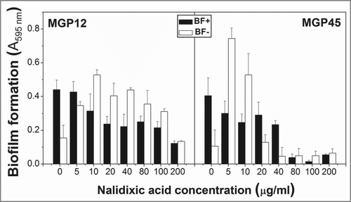 Figure 5. Antibiotic resistance in static conditions. ON cultures of the selected isolates were diluted to an OD560nm=0 .1 and incubated in multiwell plates in M63 medium containing different Pi concentrations and the indicated nalidixic acid concentrations. Plates were incubated at 30°C for 48 h and biofilm formation was assessed by cristal violet staining. Results represent the mean ± SD of 3 different experiments.