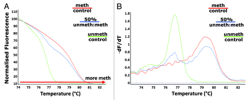 Figure 1. Detection of differences in L1 methylation. Melt curve analysis following amplification with the unbiased L1 primers (F_unbiased_mLINE1 and R_unbiased_mLINE1) - (A) the HRM normalized melt curve and (B) the first derivative melt curve (dF/dT), was performed on methylated (red) and unmethylated (green) control DNA as well as a 50% (methylated: unmethylated control) methylated sample (blue).