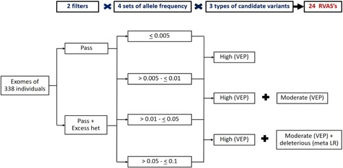 Figure 1. Diagram of the procedure for the 24 rare variant association studies (RVAS’s) between candidate variants and clinical severity in patients with Hb E/beta-thalassemia. Variants with passing the Variant Quality Recalibration Score (Pass) and/or Excess het filter (Excess het), different allele frequencies, and different predictions [high impact, moderate impact to protein by variant effect predictor (VEP), and moderate impact with deleterious effect by meta-logistic regression (meta-LR)] were grouped for analysis.
