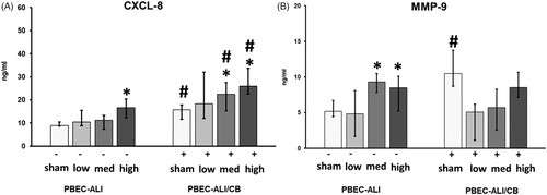 Figure 3. Carbon nanoparticle (CNP) induced protein secretion in basal media (BM) of normal (PBEC-ALI: −) and interleukin-13 (IL-13)-induced chronic bronchitis-like mucosa (PBEC-ALI/CB: +). Concentration of CXCL-8 (A) and MMP-9 (B) was measured using ELISA from BM, collected from both PBEC-ALI (−) and PBEC-ALI/CB (+) after incubation for 24 h following exposure to sham (clean air), low (2.5 μg/cm2), medium (9.4 μg/cm2), and high (14 μg/cm2) doses of CNP. Data presented as median and 25th–75th percentiles (n = 9). *: p < 0.05 within-group comparison of effects; effects of CNP exposure at all three concentrations vs corresponding sham (PBEC-ALI or PBEC-ALI/CB), #: p < 0.05 between-group comparisons (PBEC-ALI/CB vs PBEC-ALI) between sham or corresponding dose of CNP.