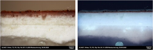 Figure 18. Cross-section of a sample from a replica manufactured according to the traditional technique of icon painting, (left) visible light, (right) UV fluorescence. The impregnation of the white ground layer with the oil coating (olifa) into a depth of about 250–300 μm is visible especially under UV fluorescence. (Photographs by S. Reuther, Landesamt für Denkamlpflege, Dresden).