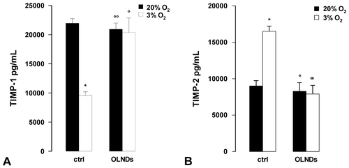 Fig. 4. Oxygen tension and OLND effects on the levels of secreted MMP tissue inhibitors (TIMP-1 and -2) in human placental explants.