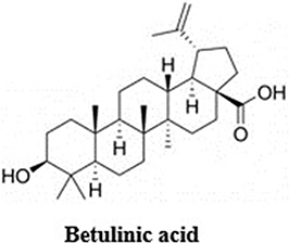 Figure 12 Molecular structure of betulinic acid.
