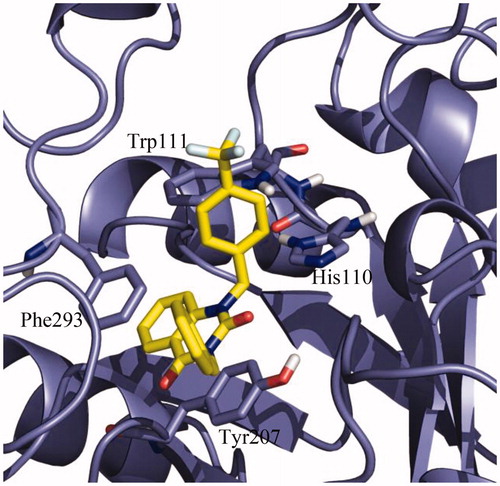 Figure 7. Detail of the binding mode of NPD-01246 in the S. mansoni aldose reductase binding site.