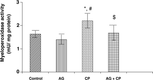 Figure 9. MPO activity in the kidneys of AG-treated rats and CP-treated rats. Data represent mean ± SD of 5–7 rats. *P < 0.01vs. control, #P < 0.01 vs. AG, $P < 0.05 vs. CP.