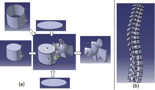 Figure 2. Feature-based model (a) L1 vertebra (b) Generic model.