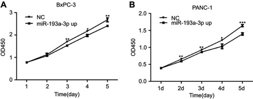 Figure 2 Effect of miR-193a-3p overexpression on PDAC cell proliferation. (A) The proliferation capacity of BxPC-3 cells was significantly decreased 3 d(P=0.001), 4 d(P=0.022), and 5 d(P=0.002) after transfection. (B) The multiplication ability of Panc-1 cells was significantly reduced 2 d(P=0.006), 3 d(P=0.001), 4 d(P=0.011), and 5 d(P=0.000) after transfection. (*P<0.05, **P<0.01, ***P<0.001).Abbreviations: NC, negative control; OE, the overexpression of miR-193a-3p.