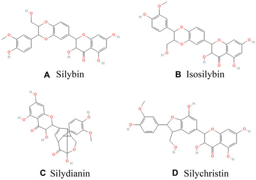 Figure 1 Chemical structures of key components of silymarin in this study A: silybin; B: isosilybin; C: silydianin; D: silychristin.
