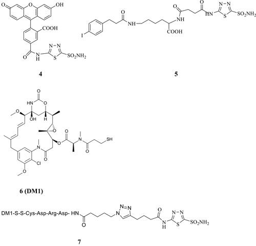 Figure 2 Acetazolamide-based CAIs 4, 5 and 7 reported by Neri’s group and the cytotoxin 6 (DM1).Citation64,Citation66