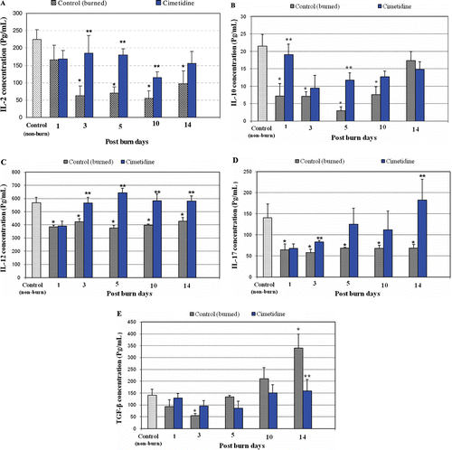 Figure 2.  Effects of thermal burn injury and effects of pre-/co-treatment with cimetidine, on serum levels of select cytokines. (a) Serum IL-2 levels in burned hosts were significantly lower at PBD 3, 5, 10, and 14 compared with those in non-burned controls (p < 0.004, 0.002, 0.001, and 0.020, respectively). Cimetidine treatments significantly mitigated effects of injury on IL-2 at PBD 3, 5, and 10 (values compared to those in injured mice that did not receive drug; using t-test = p < 0.050, 0.003, and 0.050, respectively). (b) Serum levels of IL-10 were significantly lower at PBD 1, 3, 5, and 10 as compared with those in unburned controls (p < 0.020, 0.004, 0.001, and 0.010, respectively). Cimetidine administration significantly augmented serum IL-10 levels at PBD 1 and 5 (values compared to those in injured mice that did not receive drug; using t-test = p < 0.05 and 0.007, respectively). Serum levels of IL-10 returned to normal at PBD 14. (c) Serum IL-12 levels were significantly lower at PBD 1, 3, 5, 10, and 14 compared with values seen in non-burn control mice (p < 0.010, 0.020, 0.003, 0.001, and 0.030, respectively). Cimetidine treatments significantly mitigated the effects of injury on IL-12 at PBD 3, 5, 10, and 14 (values compared to those in injured mice that did not receive drug; using t-test = p < 0.020, 0.001, 0.030, and 0.020, respectively). (d) Serum IL-17 levels were significantly lower at PBD 1, 3, 5, 10, and 14 as compared with those in non-burned controls (p < 0.05, 0.03, 0.04, 0.04, and 0.05, respectively). Cimetidine treatments significantly mitigated the effects of injury on IL-17 at PBD 3 and 14 (values compared to those in injured mice that did not receive drug; using t-test = p < 0.04 and 0.05, respectively). (e) Serum TGFβ levels were significantly lower at PBD 3 (p < 0.01 vs unburned control values) but were significantly higher at PBD 14 as compared with the un-burned control group (0.01). Cimetidine treatments significantly diminished the serum levels of TGF-β at PBD 14 (values compared to those in injured mice that did not receive drug; using t-test = p < 0.04). * Significant difference between burn and non-burn groups. ** Significant difference between cimetidine-/non-cimetidine-treated burn mice on a given day.