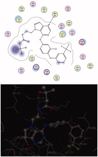 Figure 5. 2 D and 3 D interaction maps of TAK-285 inside the active site of 3RCD.