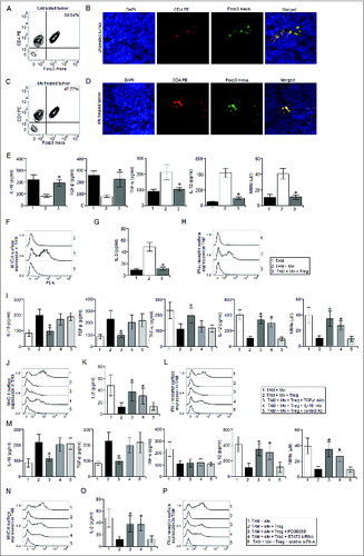 Figure 3. Regulatory T cells abrogated Mw induced reprogramming of TAM. The tumor from untreated and Mw treated mice were subjected to enzymatic digestion to generate a single cell suspension as described in the Materials and Methods and the tumor infiltrating CD4+ T cells were purified by MACS using CD4 magnetic bead. (A, C) The isolated tumor infiltrating CD4+ T cells were then subjected to FACS for determination of the proportion of CD4+ Foxp3+ regulatory T cells. (B, D) In a separate set of experiments, tumors were cryo-sectioned and subjected to immunofluorescence studies with CD4 PE and Foxp3 Alexa Fluor 647 conjugated antibodies for the detection of tumor infiltrating regulatory T cells and DAPI was used for nuclear staining. TAM from Mw treated tumor bearing mice were left untreated or restimulated with Mw (1:10 ratio to TAM) and co-cultured with regulatory T cells isolated from Mw treated tumor bearing mice in a 1:10 (regulatory T cell:TAM) ratio for 24 h. The culture medium was then replace with fresh medium and kept for another 24 h or 48 h. (E) The cell free supernatant was then collected and subjected to ELISA and Griess Method assay for detection of IL-10, TGF-β, TNF-α, IL-12 production and nitrite generation respectively. (See previous page). (F, H) In a separate set of experiments, TAM (105 cells) from Mw treated tumor bearing mice were left untreated or treated as mentioned above were subjected to FACS for detection of MHC-II or IFN-γ receptor surface expression. (G) In another set of experiments, TAM (105 cells) from Mw treated tumor bearing mice were left untreated or treated as mentioned above were subjected to MHC-II dependent antigen presentation assay as described in the Materials and Methods. In a separate experiment, TAM from Mw treated tumor bearing mice were restimulated with Mw and subjected to co-culture with Regulatory T cells (1:10 ratio) in presence of TGF-β neutralizing antibody(10 μg/mL), IL-10 neutralizing antibody or control antibody(10 μg/mL). The culture medium was then replace with fresh medium and kept for another 24 h or 48 h. (I) The cell free supernatant was then collected and subjected to ELISA and Griess Method assay for detection of IL-10, TGF-β, TNF-α, IL-12 production and nitrite generation respectively. (J, L, K) In a separate set of experiments, TAM (105 cells) from Mw treated tumor bearing mice were left untreated or treated as mentioned above were subjected to FACS for detection of MHC-II and IFN-γ receptor surface expression. In another set of experiments, TAM (105 cells) from Mw treated tumor bearing mice were left untreated or treated as mentioned above were subjected to MHC-II dependent antigen presentation assay. In another set of experiments, TAM from Mw treated tumor bearing mice were restimulated with Mw and treated with PD98059 (10 μM), STAT3 siRNA or control siRNA before co-culture with regulatory T cells (1:10 ratio). The culture medium was then replace with fresh medium and kept for another 24 h or 48 h. (M) The cell free supernatant was then collected and subjected to ELISA and Griess Method assay for detection of IL-10, TGF-β, TNF-α, IL-12 production and nitrite generation respectively. (N, P) In a separate set of experiments, TAM (105 cells) from Mw treated tumor bearing mice were left untreated or treated as mentioned above were subjected to FACS for detection of MHC-II and IFN-γ receptor surface expression. (O) In another set of experiments, TAM (105 cells) from Mw treated tumor bearing mice were left untreated or treated as mentioned above were subjected to MHC-II dependent antigen presentation assay. The immunofluorescence and FACS data shown here are the best representatives among three independent experiments. The data shown here are mean ± standard deviation of three independent experiments, a value of p < 0.05 (*) was considered to be significant.