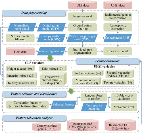 Figure 2. Research workflow of this study.