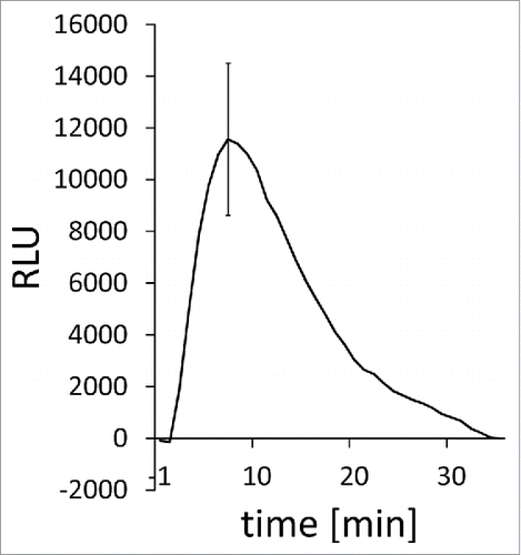 Figure 1. Chitin-triggered ROS production in barley. (A) Typical ROS production measurement in response to chitin in barley. Normalized relative light units (RLU) are shown over the measured time course. Chitin elicitors were added to leaf discs at 0 min and ROS-dependent luminol luminescence recorded over time. Data show relative light units (RLU) corrected after subtraction of leaf disc-specific background (recorded for 5 minutes before elicitation) and average mock treatment associated blanks (n = 8). Error bars show standard error over the mean (n = 8). For methodology, see Scheler et al. (2016).Citation11